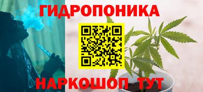 крисы Пыть-Ях