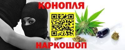 крисы Пыть-Ях