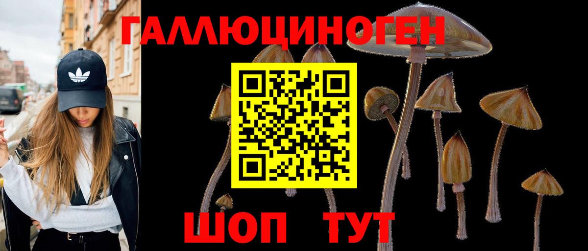 Псилоцибиновые грибы ЛСД Новоалександровск