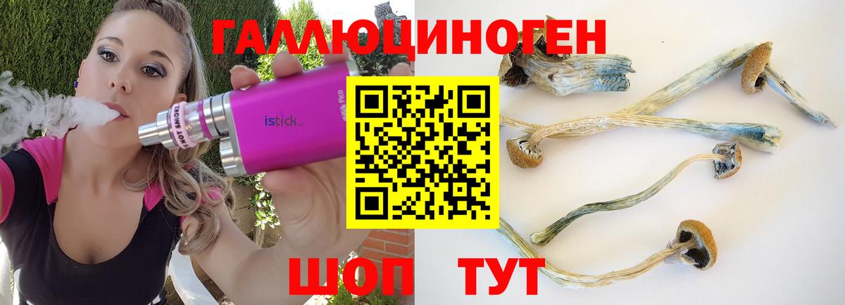 Галлюциногенные грибы мицелий  Галлюциногенные грибы прущие грибы  Вход с VPN  Новоалександровск 